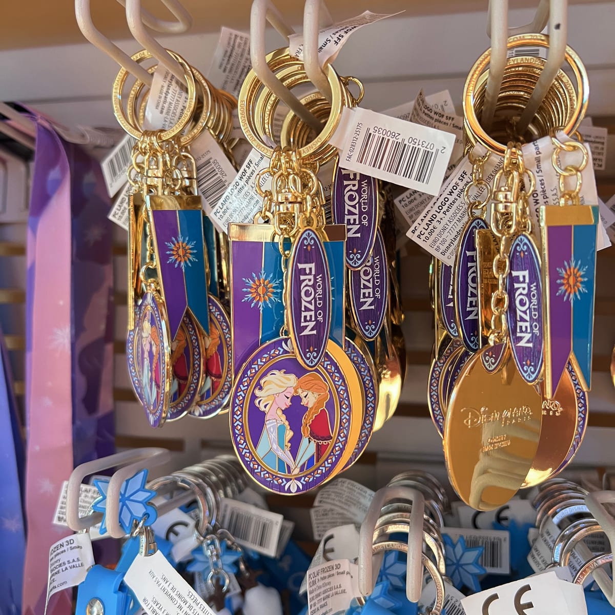 Disneyland Paris Metal World of Frozen Banner Elsa Ana Portrait Keyring view 1