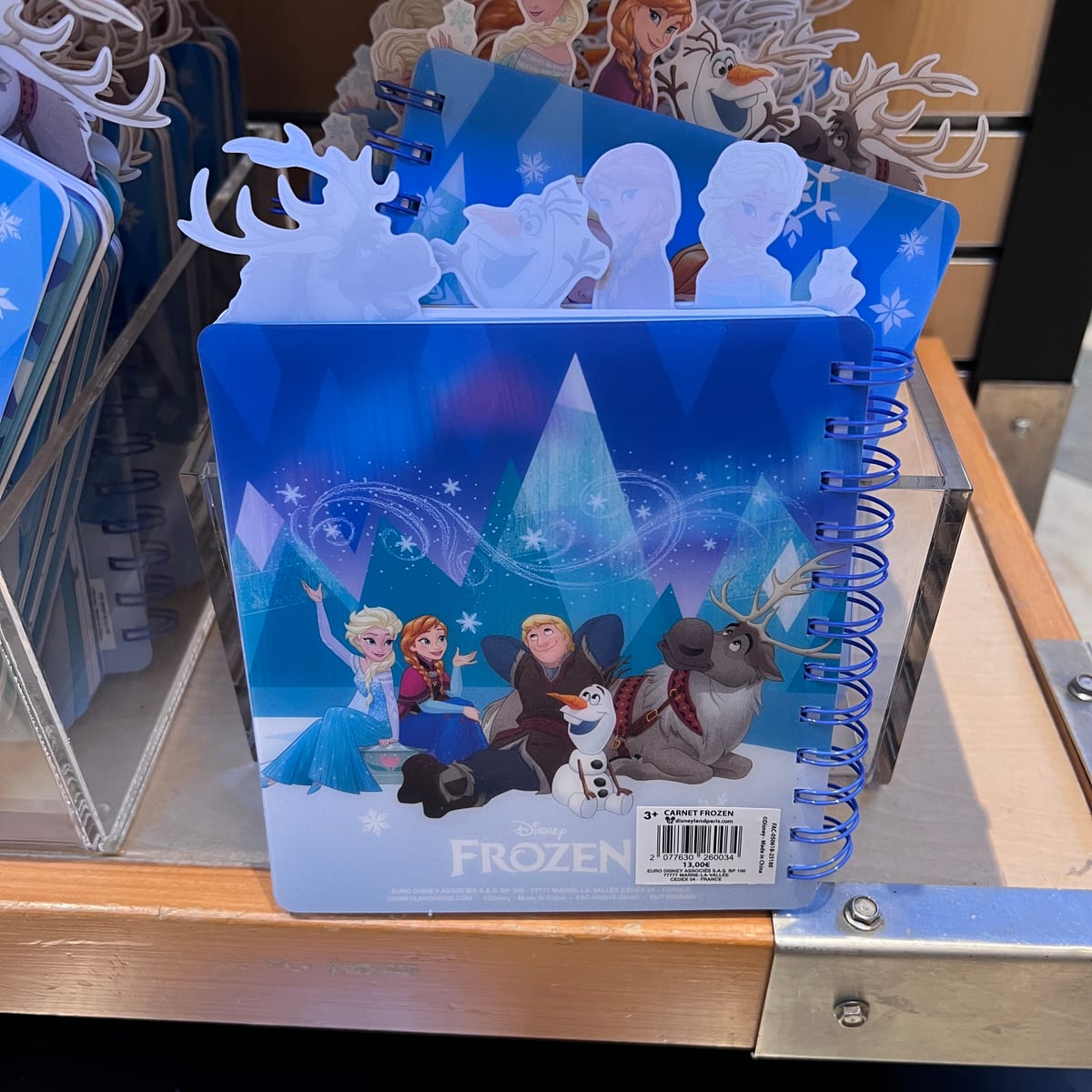 Disneyland Paris World of Frozen Character Bookmark Notebook view 2