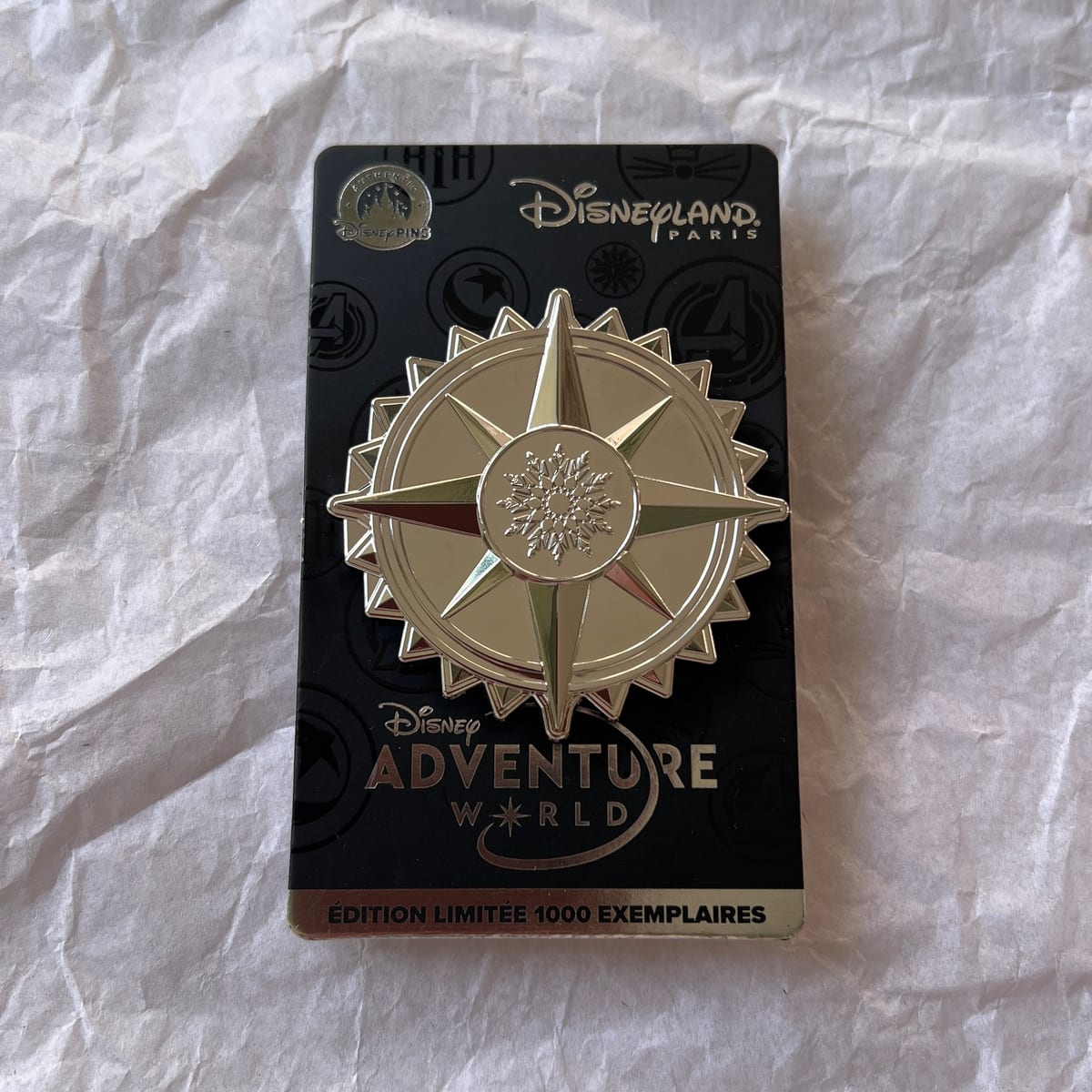 Disneyland Paris Limited Edition Adventure World Frozen Elsa Ana Hinged Pin view 2