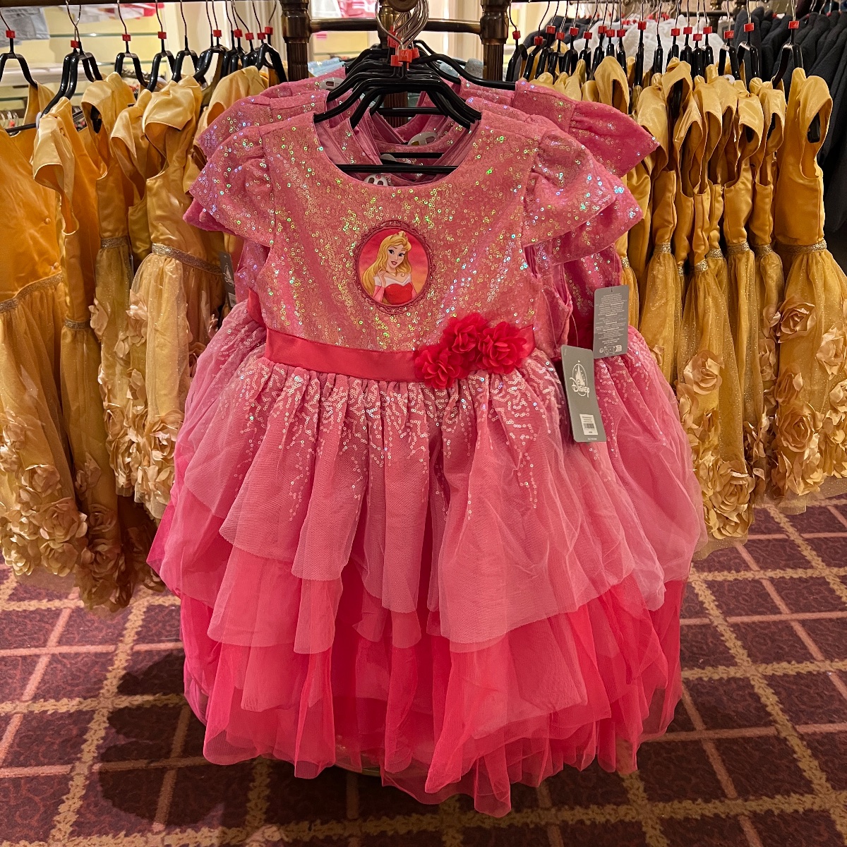 Disneyland Paris Kids Sleeping Beauty Princess Aurora Dress