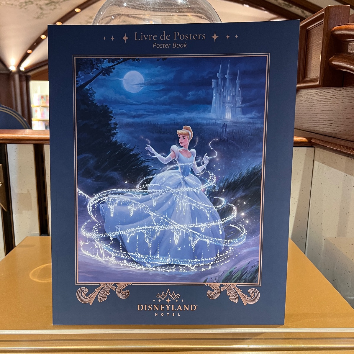 Disneyland Paris Hotel Poster Book