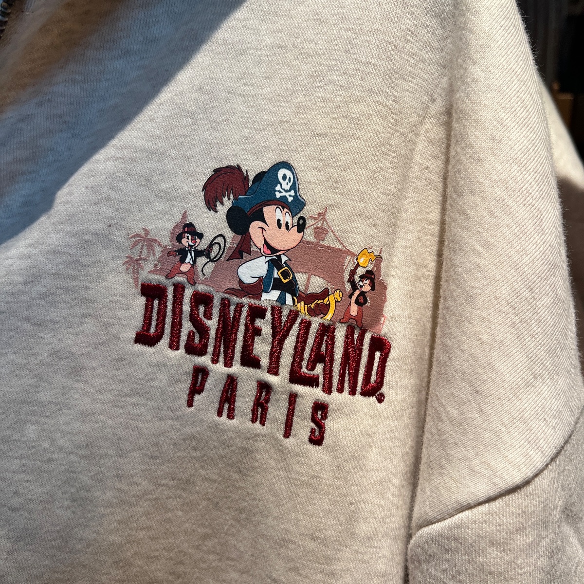 Disneyland Paris Attractions Hoodie view 4