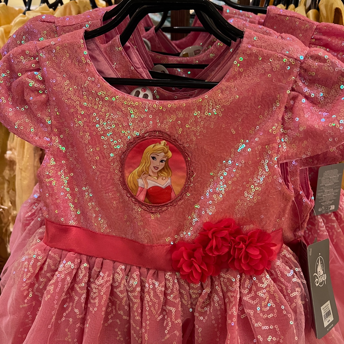 Disneyland Paris Kids Sleeping Beauty Princess Aurora Dress view 2