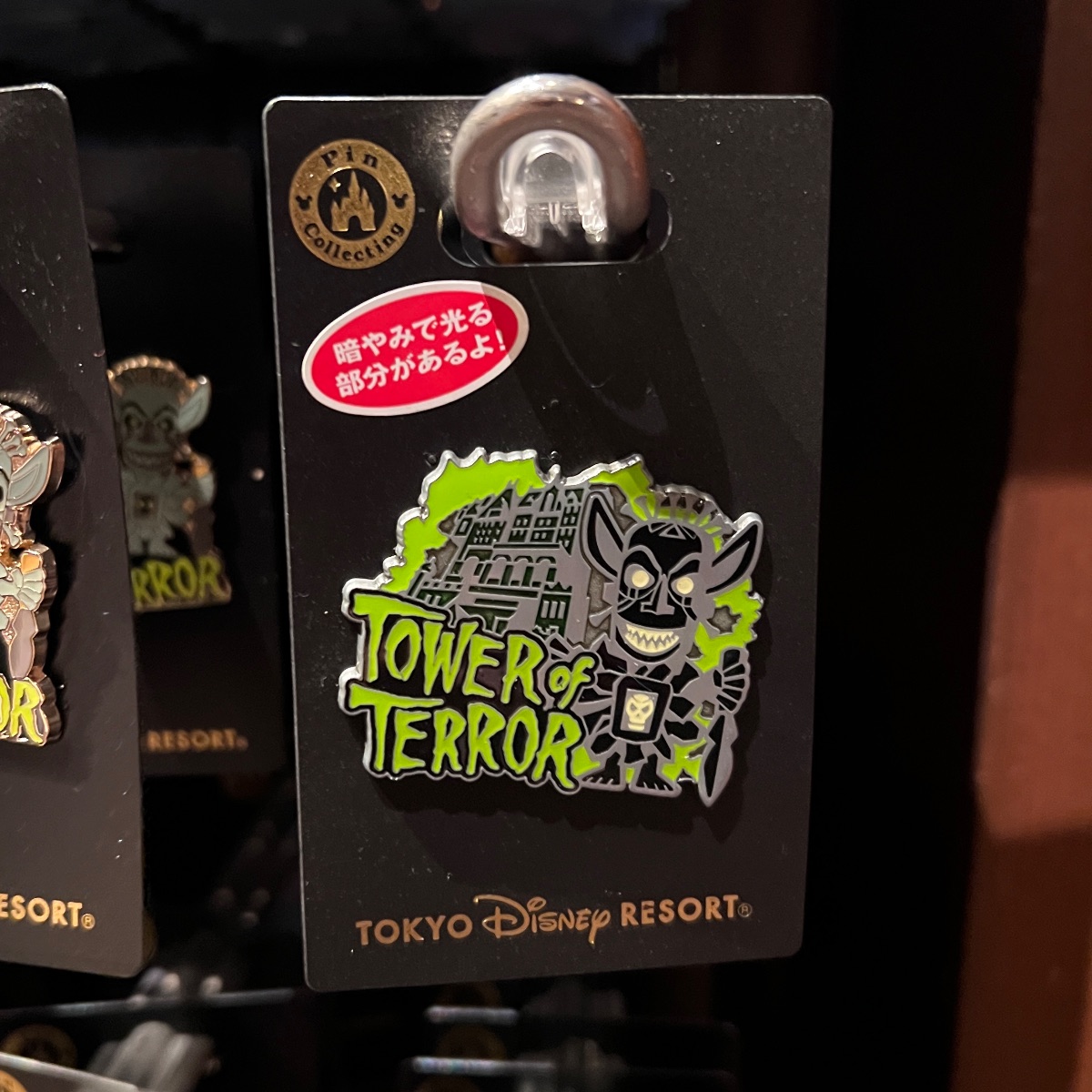 Tokyo Disney Tower of Terror Dark Totem Attraction Pin view 1
