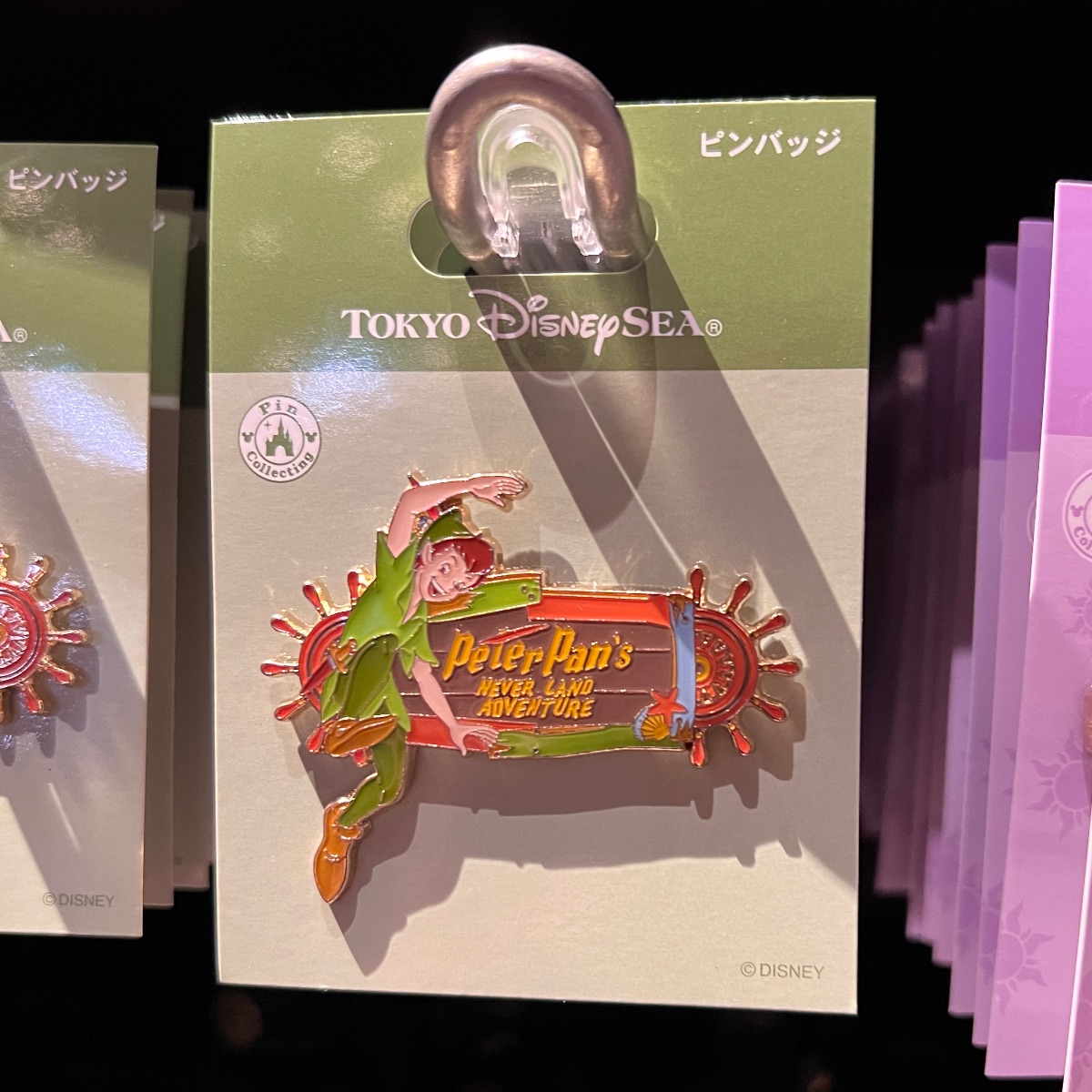 Tokyo Disney Peter Pan’s Neverland Adventure Attraction Pin view 1