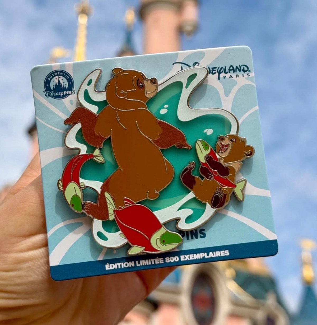 Disneyland Paris Limited Edition Brother Bear Wave Pin
