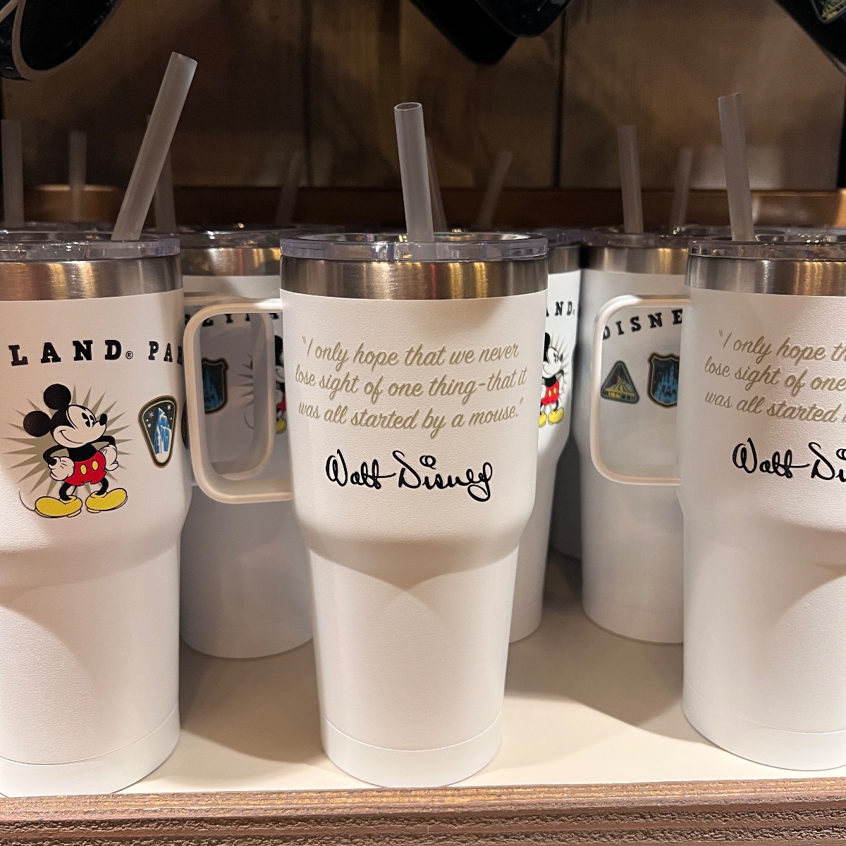 Disneyland Paris ‘Embroidered’ Park Icons Drinking Bottle view 2