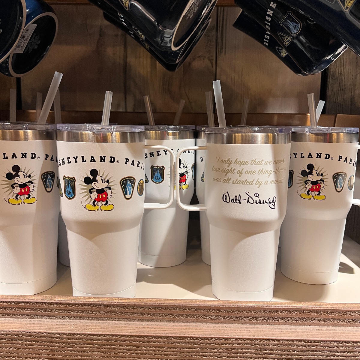Disneyland Paris ‘Embroidered’ Park Icons Drinking Bottle view 4