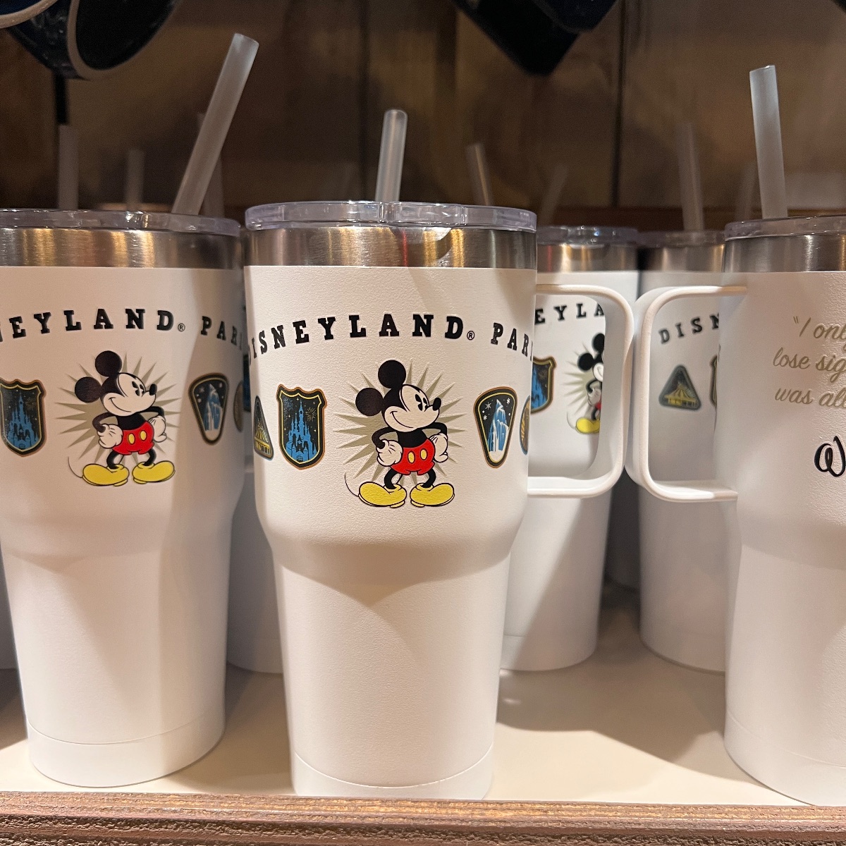Disneyland Paris ‘Embroidered’ Park Icons Drinking Bottle