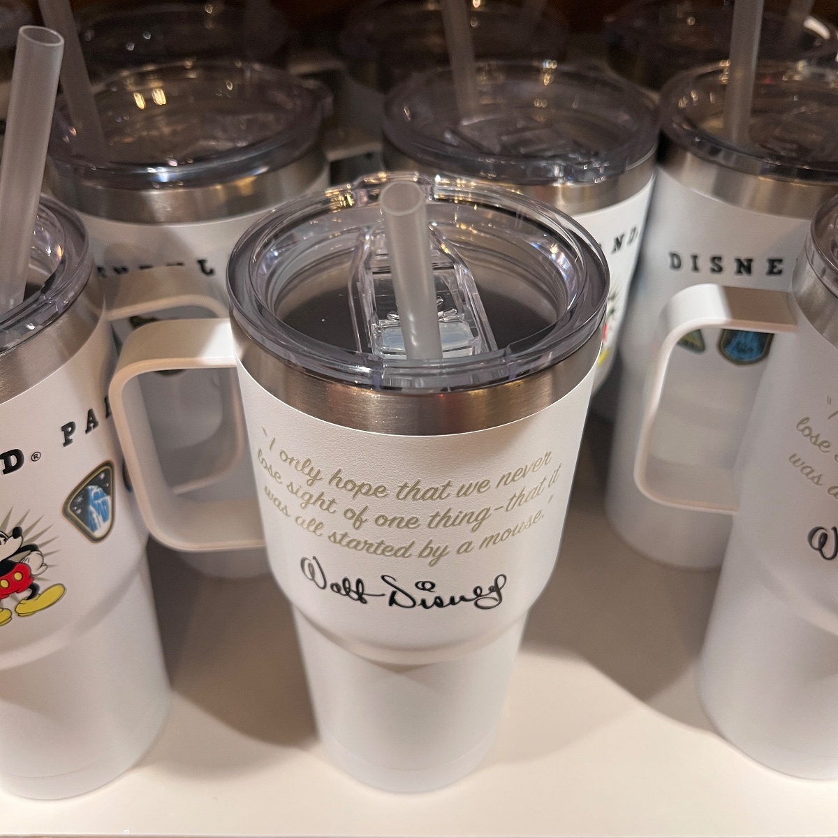 Disneyland Paris ‘Embroidered’ Park Icons Drinking Bottle view 3