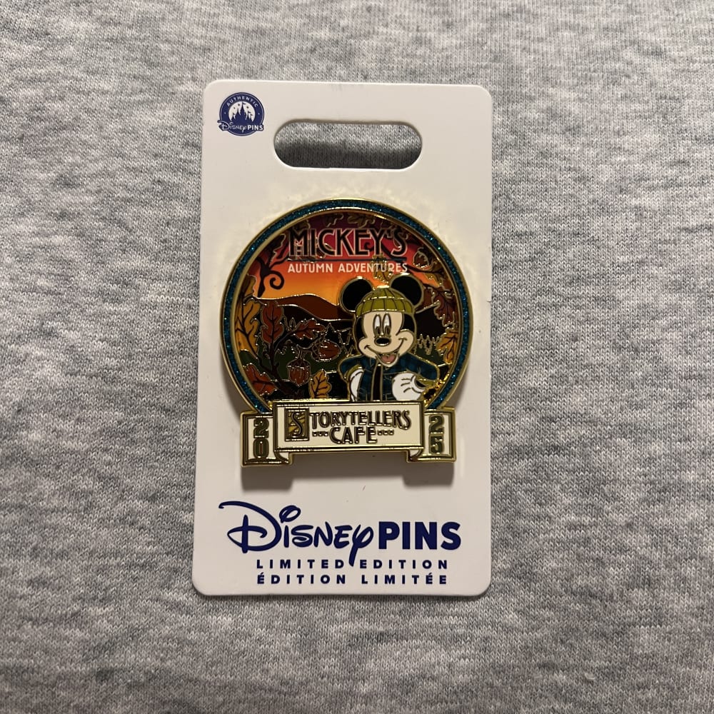 Disneyland Paris Limited Edition Storyteller Cafe Pin view 1
