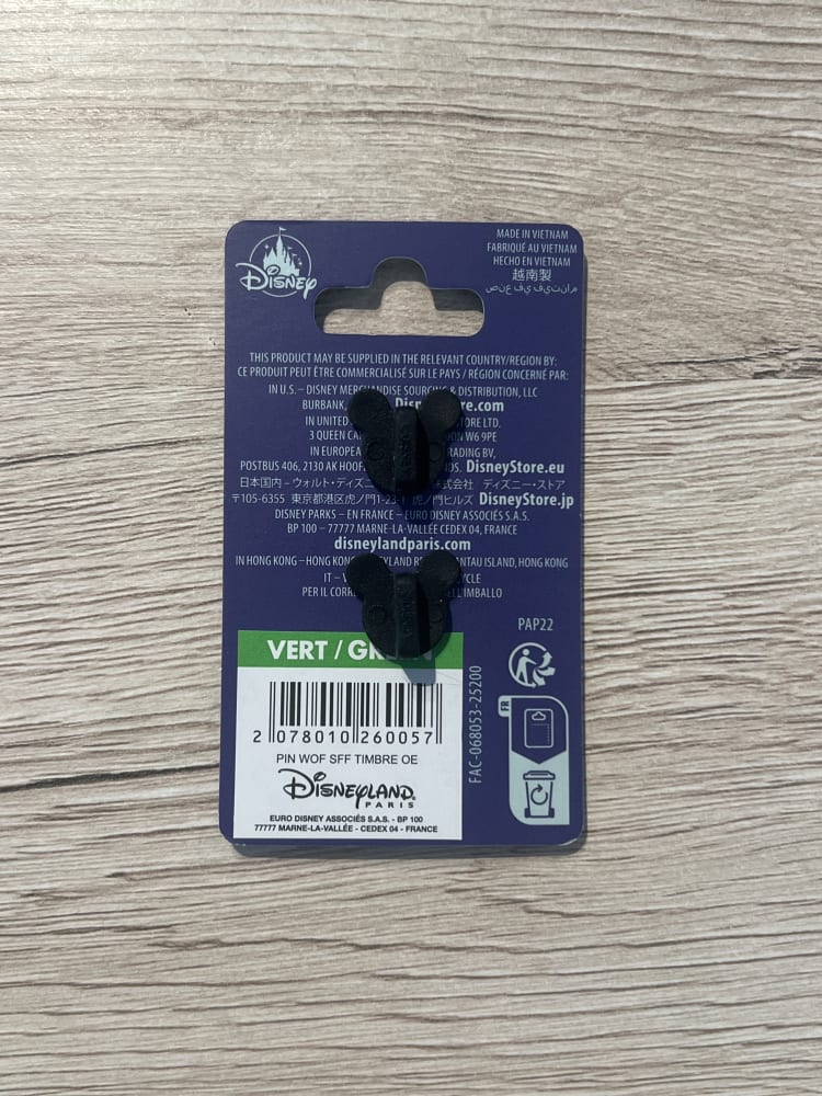 Disneyland Paris World of Frozen Elsa Anna Stamp Pin view 2