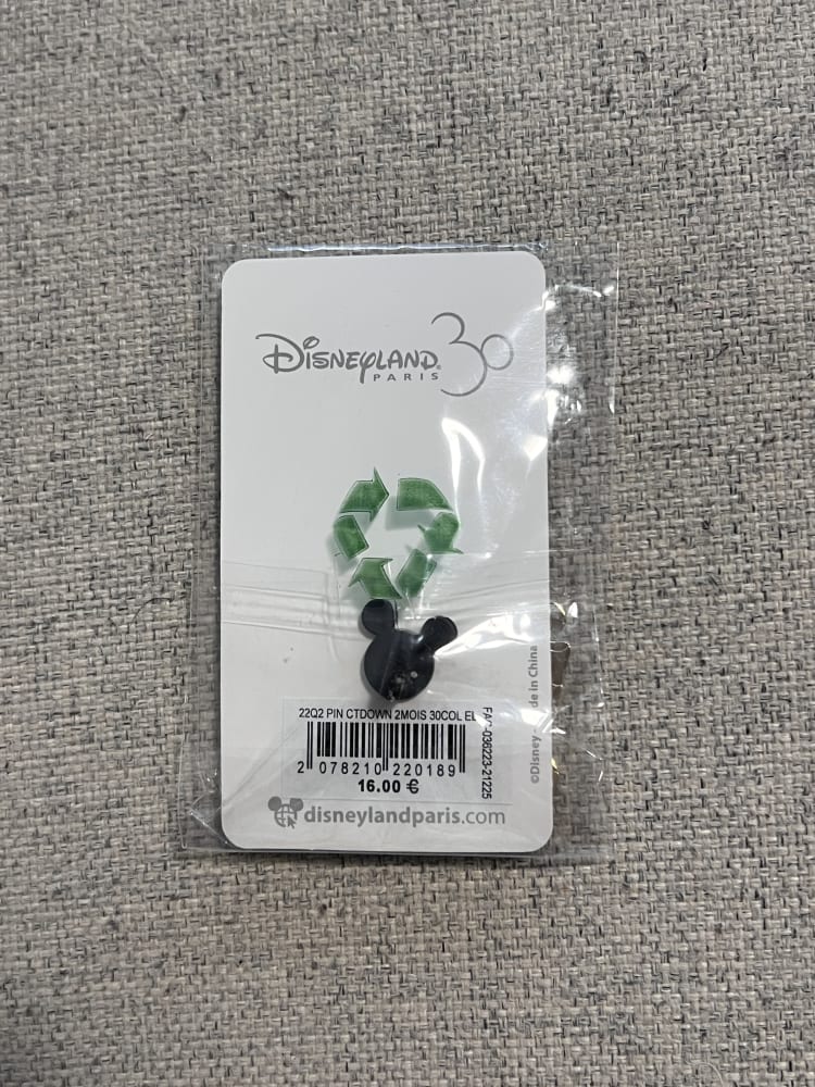 Disneyland Paris Limited Edition 30th Anniversary 'Dans 2 Mois' Flora Sleeping Beauty Castle Pin view 2
