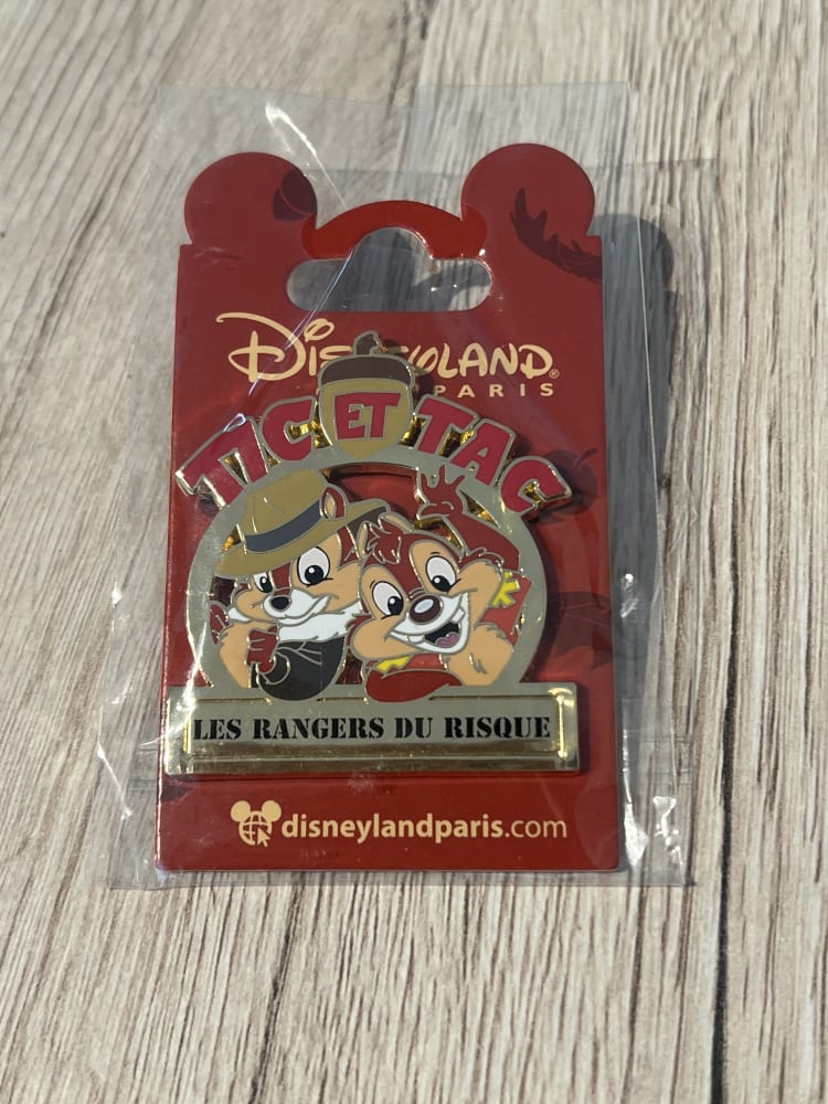 Disneyland Paris ‘Les Rangers Du Risque’ Chip and Dale Pin view 1