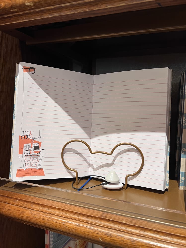 Disneyland Paris ‘Anyone Can Cook’ Notebook view 2