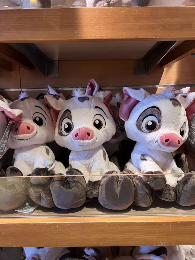 Disneyland Paris Moana Pua Big Feet Plush