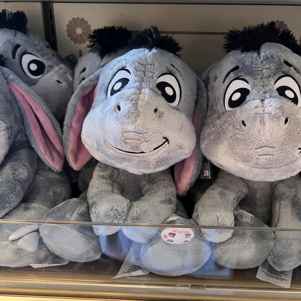 Disneyland Paris Eeyore Big Feet Plush view 1
