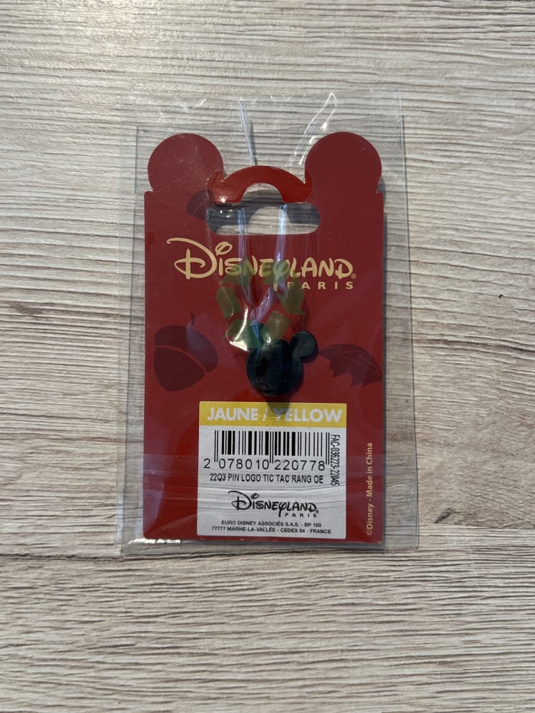 Disneyland Paris ‘Les Rangers Du Risque’ Chip and Dale Pin view 2