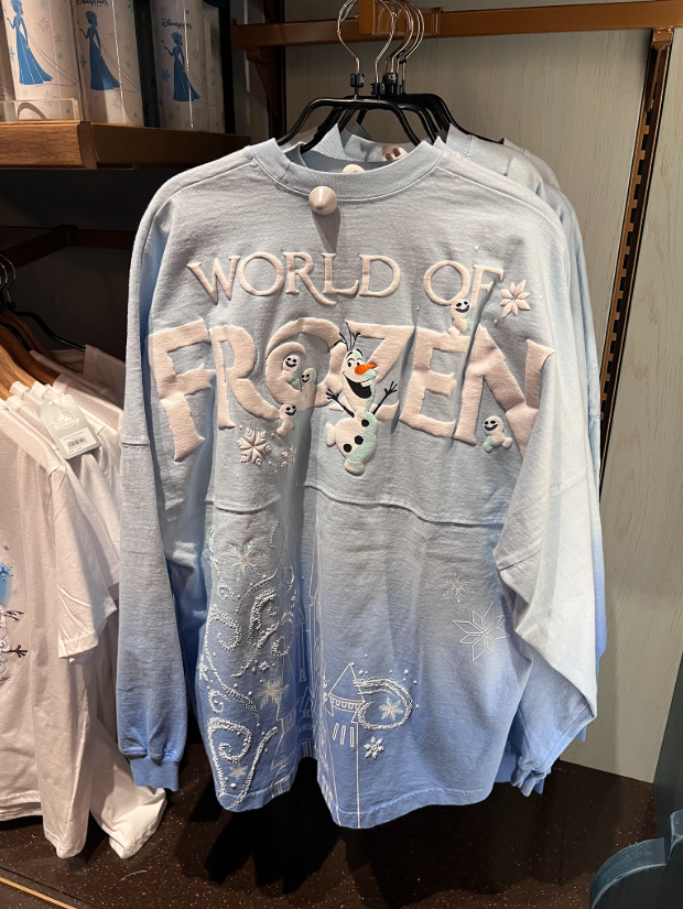 Disneyland Paris World of Frozen Icy Blue Spirit Jersey view 1