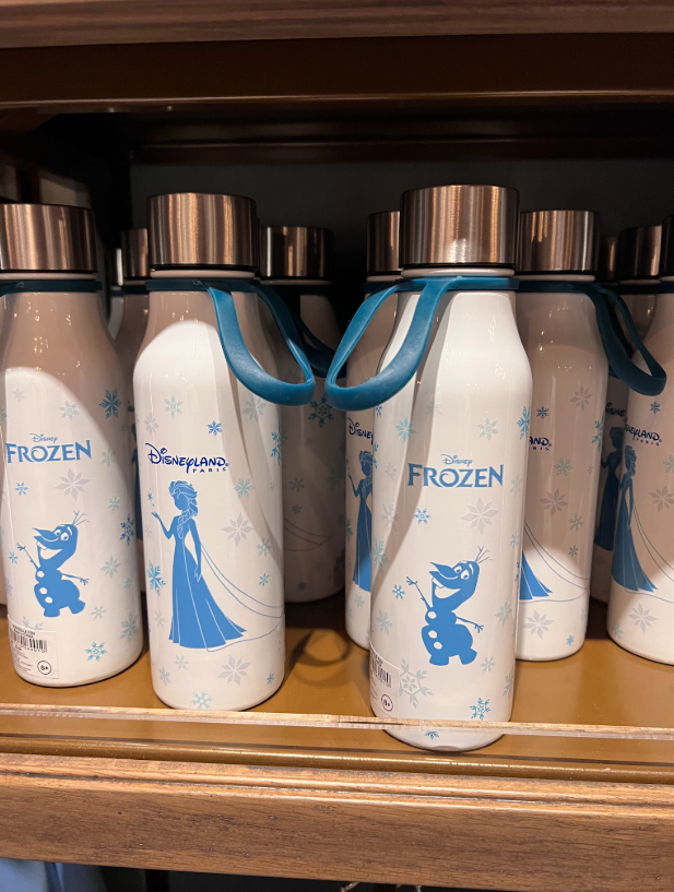 Disneyland Paris World of Frozen Metal Water Bottle view 1