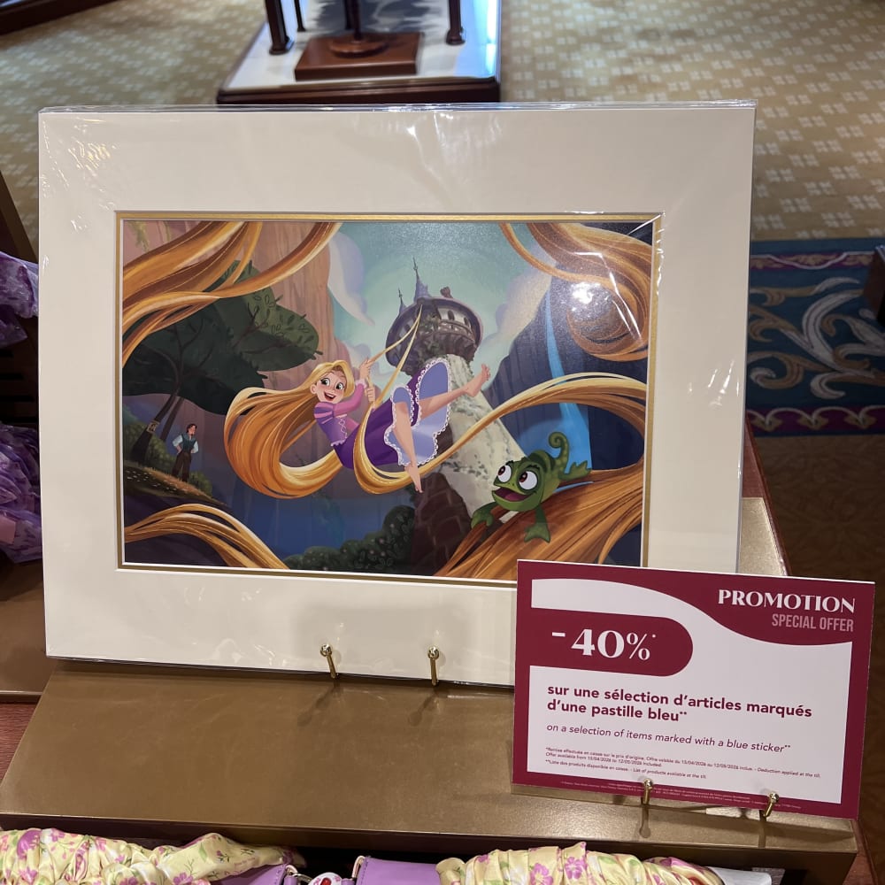 Disneyland Paris Hotel Rapunzel Hair Swing Artwork view 1